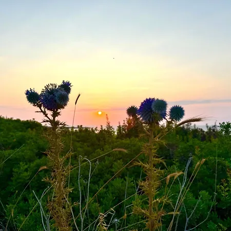 F16 Deja Blue With Rooftop Terrace דירה