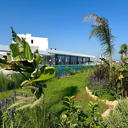 Lovely Furnished One-bedroom With Amazing Sea View