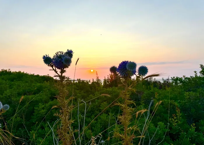 F16 Deja Blue With Rooftop Terrace Appartamento